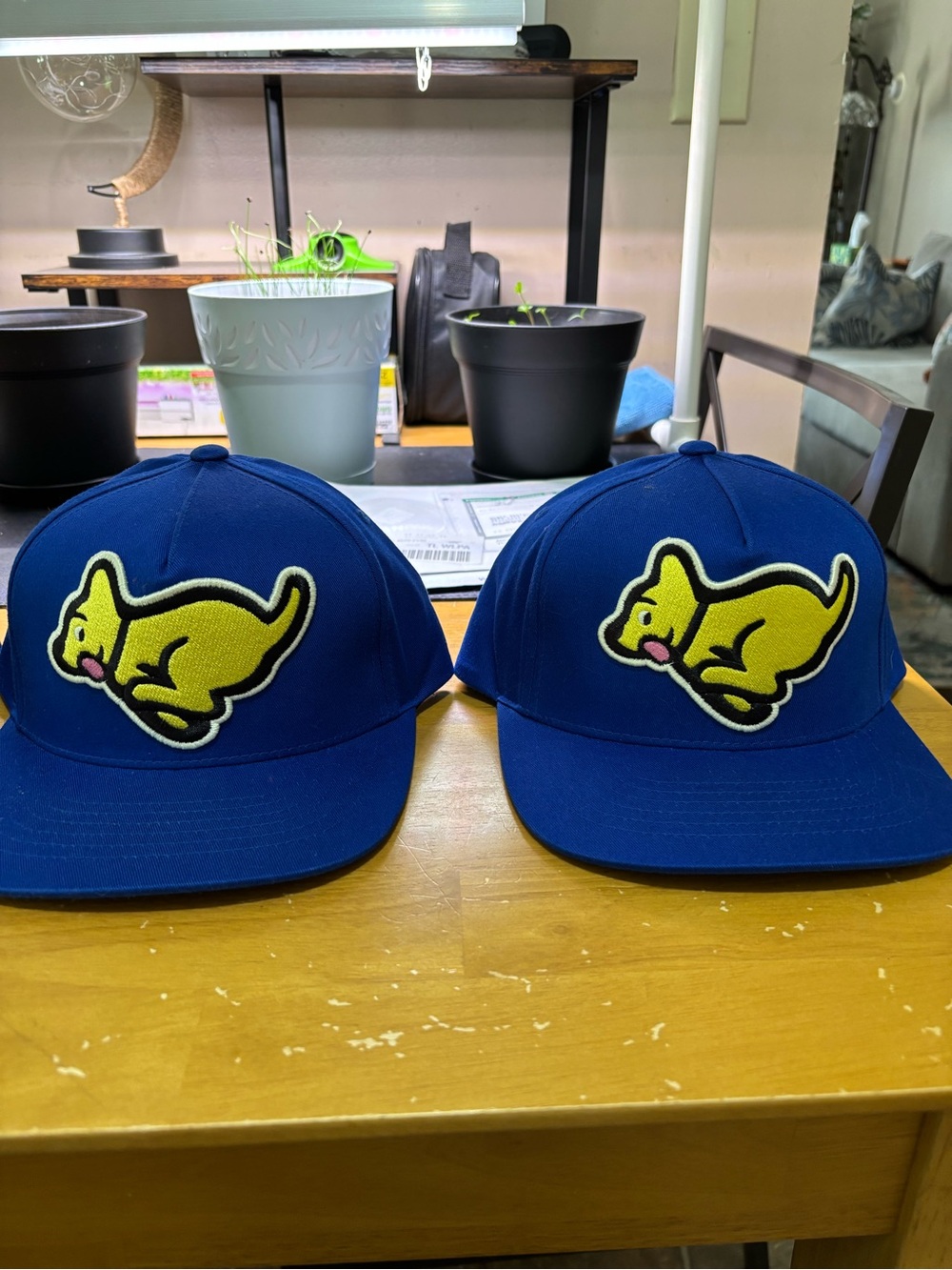 ICECREAM HAT LOT BY PHARELL WILLIAMS.